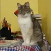 Отзыв от Гульнара Агафонова
